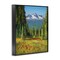 Stupell Industries Alpine Valley Meadow Framed Giclee Wall Art Design by Andrew Kiss